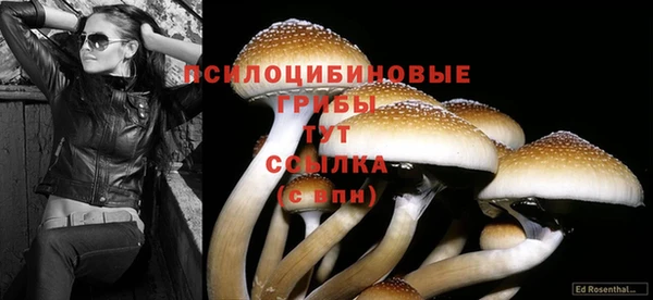 молекула духа Армянск