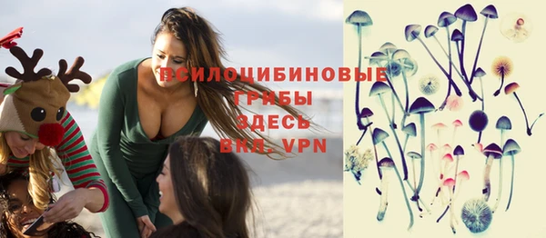 молекула духа Армянск