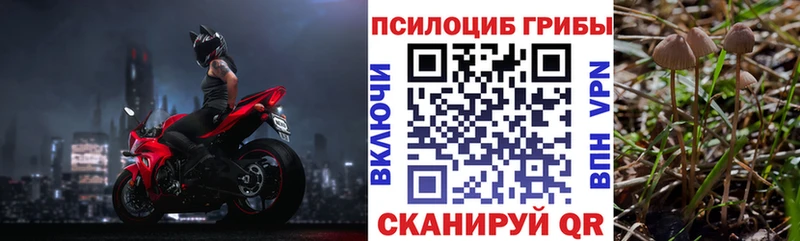 Псилоцибиновые грибы Psilocybine cubensis продажа наркотиков Горняк