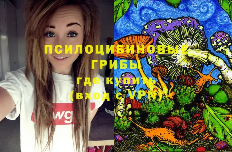 OMG ССЫЛКА  Горняк  Псилоцибиновые грибы прущие грибы 